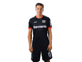 Bayer 04 Werkself Sticker by Bayer 04 Leverkusen