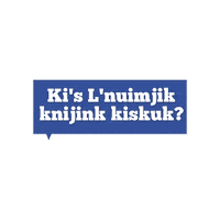 Lnu Sticker