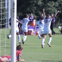 TCUAthletics sports football soccer college GIF