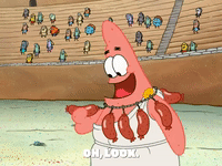 season 6 episode 3 GIF by SpongeBob SquarePants