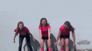 GIF by skunkkorfbal
