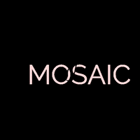 mosaicbeautyllc hair hairdresser stylist styled GIF