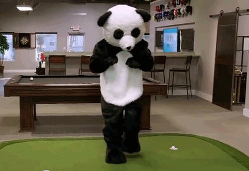 TV gif. In a clip from The Dude Perfect Show, we see a bar-like room with a pool table, where a person in a panda suit dances on a simulated putting green.