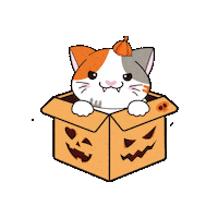Cat Halloween Sticker by Petique, Inc.