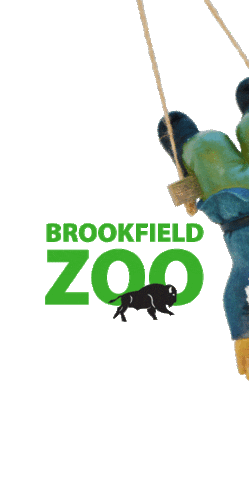 Gnomes Holidaymagic Sticker by Brookfield Zoo