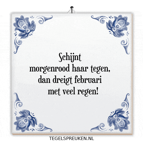 Humor Wijsheid GIF by Tegelspreuken.nl