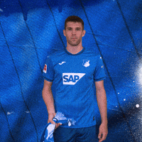 Sport Bundesliga GIF by TSG Hoffenheim