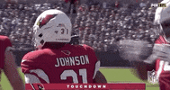 Nfl Season 2019 Football GIF by NFL