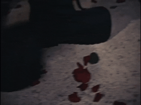 Sk8Star GIF by STRAPPED!