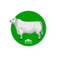 Linha Pastagem Sticker by Corteva Brasil