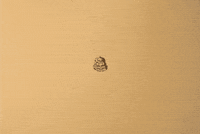 art illustration GIF by Digg