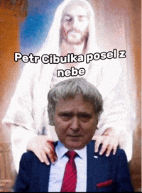 Cibulka GIF