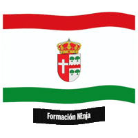 Castilla Y Leon Flag Sticker by Formación Ninja