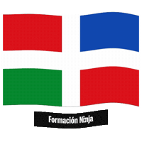 Castilla Y Leon Flag Sticker by Formación Ninja