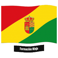 Castilla Y Leon Flag Sticker by Formación Ninja