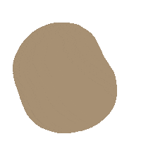 Thekefimarket aesthetic circle brown colour Sticker