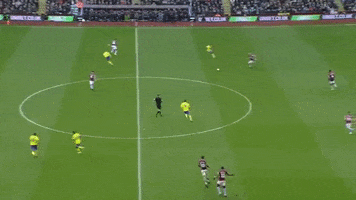 premier league football GIF by Aston Villa FC