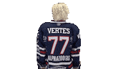 Ice Hockey Sport Sticker by Fehervar AV19