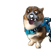 Dog Share Sticker