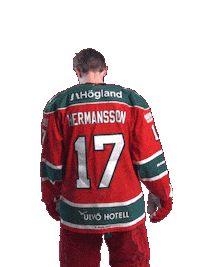 Ice Hockey Hockeyallsvenskan Sticker by MoDo Hockey