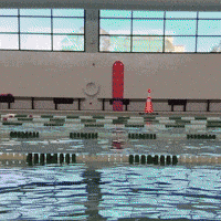 Pool Party Swimming GIF