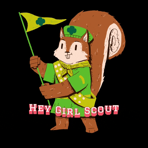 GSsouthernalabama girl scout girlscout gssa girl scouts southern alabama GIF