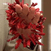 Red Pepper GIF by TRT