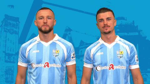Football Win GIF by ChemnitzerFC
