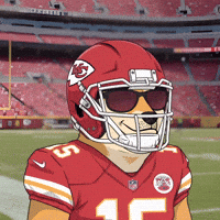 Kansas City Chiefs Football GIF by Doge Pound