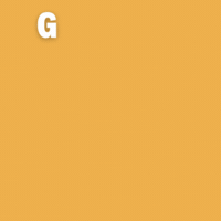 Gömlek GIF by Tudors Shirt Kingdom
