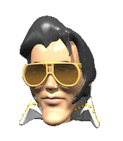 elvis STICKER
