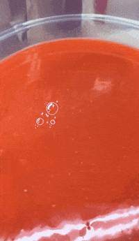 EmzBlendz emzblendz GIF