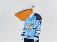 PelicansFi sports hockey mascot ice hockey GIF