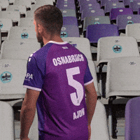 Vfl GIF by VfLOsnabrueck