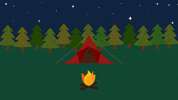 campquarantine camping campfire marshmallow tent GIF