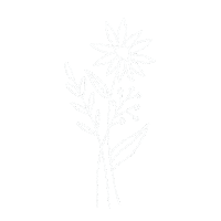 Flower Grow Sticker