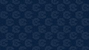 Cnms19 Jamescoady GIF by Carson-Newman Athletics