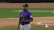 Major League Baseball Sport GIF by MLB