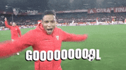 happy la liga GIF by Sevilla Fútbol Club