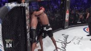 GIF by Bellator