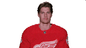 Red Wings Sport Sticker by Detroit Red Wings