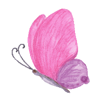 Butterfly Sticker