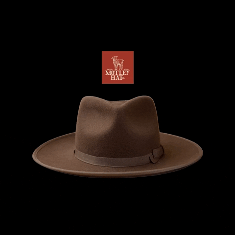 motleyhats giphyupload texas brown hats GIF