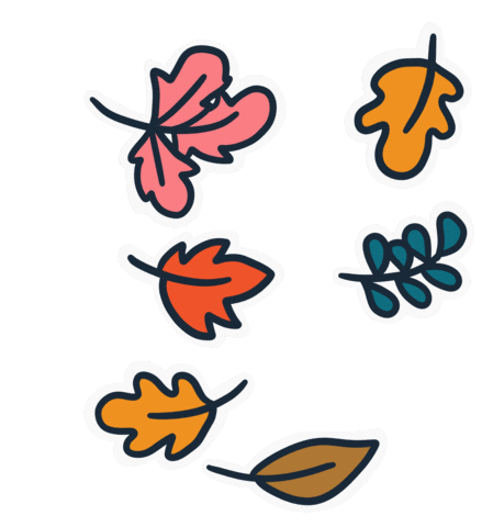 hanna-guenther giphyupload nature autumn forest Sticker