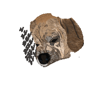 Diesel Puggle Sticker