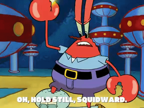 season 5 GIF by SpongeBob SquarePants