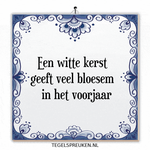 Winter Nl GIF by Tegelspreuken.nl