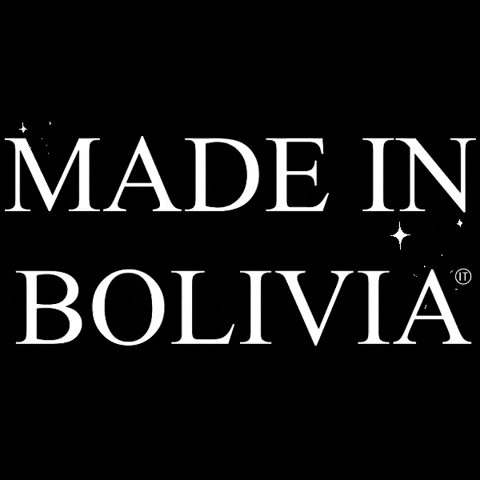 ICETEESHOP bolivia madeinbolivia icetees GIF