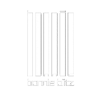Bonnie Blitz Sticker by Projekt 42