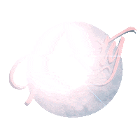 noenooky love pink white ok Sticker